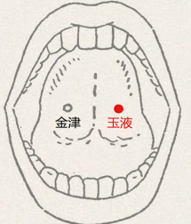 玉液穴(图1)