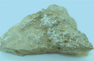 钟乳石(图1)