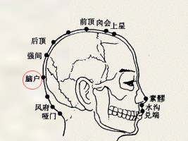 脑户穴(图1)