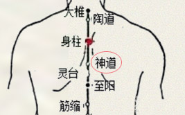 神道穴(图1)