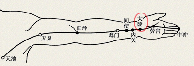 大陵穴(图1)