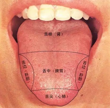 望舌辨体质舌像辩证对应九种中成药