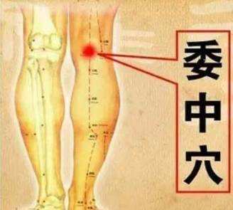 艾灸悬灸治疗老寒腿(图2)