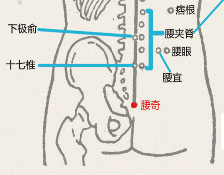 腰奇穴(图1)