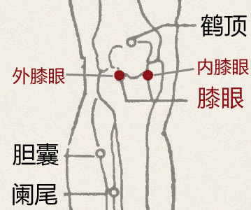 膝眼穴(图1)
