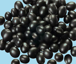 黑豆(图1)