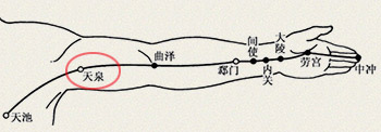 天泉穴(图1)