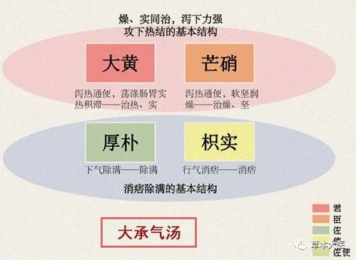 中医六个急救神效药方(图3)